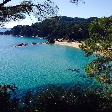 Appartements Les Pesquiers 2 Hyeres Plage מראה חיצוני תמונה