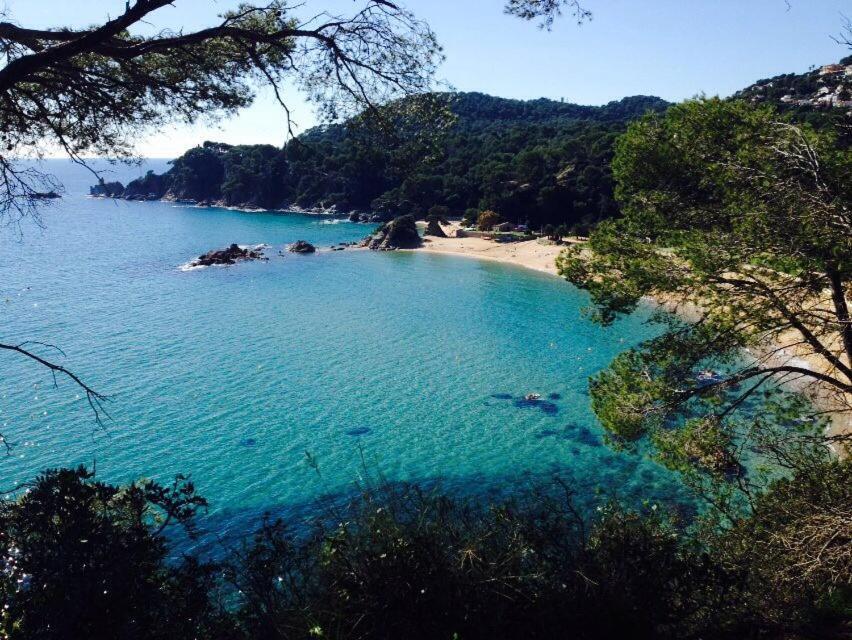Appartements Les Pesquiers 2 Hyeres Plage מראה חיצוני תמונה